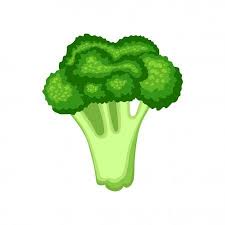 Fresh Broccoli Isolated On White Background Organic Food Cartoon Style Vector Affiliate White Bac Cartoon Styles White Background Vector Illustration