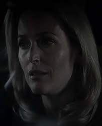 𖦹˖° Gillian's Version