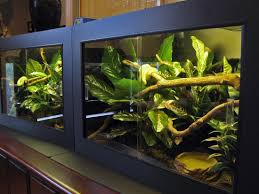 Creative Cages Snake Cage And Reptile Cage At Pvc Cages Snake Terrarium Snake Cages Reptile Cage