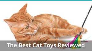 Plus, it's only $17 on chewy, making it way. Our Huge List Of The Best Cat Toys In 2021 With Reviews And Ratings