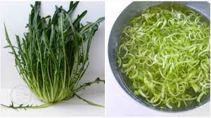 La cicoria, fondamentale per il metabolismo e la funzionalità epatica e biliare, combatte stitichezza e cattiva digestione svolgendo un'eccellente funzione depurativa dell'organismo. Puntarelle Come Pulire Ricetta Delle Puntarelle Alla Romana Ricette Di Gabri Youtube