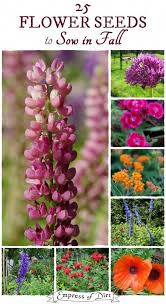 There are many beautiful flowers in our garden. A Flower Garden Paragraph