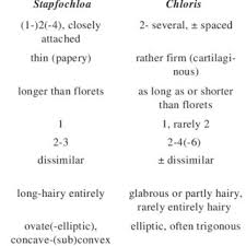 Image result for Heteranthoecia  guineensis