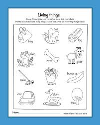 Observing and describing the natural world using five senses, developing vocabulary through investigating properties of common objects, earth materials, and organisms, developing abilities to ask. Science Worksheets For Kindergarten Free Am I Living Worksheets For Kindergarten Livi Science Worksheets Kindergarten Science Kindergarten Worksheets Printable