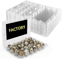 Wholesale 2 Dozens Quail PET Egg Trays - Recyclable & Shockproof
