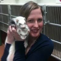 Catherine Korman Email & Phone Number