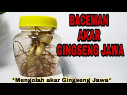 Seperti dilansir dari sumber media kesehatan mengatakan pengertian obat kuat ialah pernyataan umum untuk obat disfungsi ereksi (de) atau yang sering. Mengolah Akar Gingseng Jawa Talinum Paniculatum Membuat Baceman Gingseng Jawa Youtube