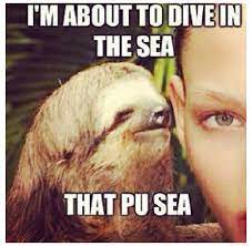 Dirty Sloth Quotes Quotesgram