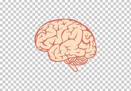 Human Brain Png Clipart Brain Brain Brain Decoration Creative Ads Creative Artwork Free Png Download Human brain png collections download alot of images for human brain download free with high quality for designers. human brain png clipart brain brain