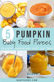5 Pumpkin Puree Recipes For Baby Stage 1 2 Baby Foode Recipe Pumpkin Baby Food Baby Food Recipes Homemade Baby Foods