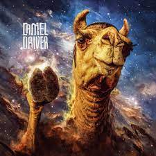 Here you can calculate how many camels your girlfriend or boyfriend is worth. Camel Driver Home Facebook
