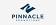 Pinnacle Promotions, Inc.