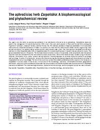 Image result for Carpolobia goetzei