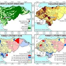 Image result for Phyllanthus pseudocarunculatus