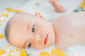 Great savings & free delivery / collection on many items. Cute Little Baby Boy Portrait In Milk Bath With Sunflowers Healthy Lifestyle Child In Summer Garden Nature Concept By Moon Soul Photo Stock Snapwire