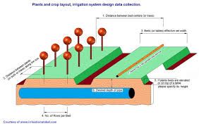 Irrigation Design