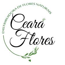 Brasil urgente acompanha prisão de dj ivis no ceará. Ceara Flores Distribuidora Home Facebook