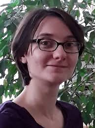 Self-Adaptive Decentralized Monitoring in Software-Defined Networks