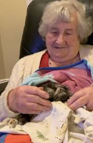 Contributions to the tribute of Bridget M. Feeley