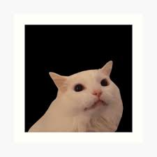 White Cat Meowing Meme Art Print By Goath Redbubble