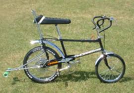 Dry coconut/copra not allowed) cpu: Wisata Ditutup Chopper Bicycle Malaysia Raleigh Chopper Bicycle Malaysia Ubuy Malaysia Online