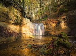 We did not find results for: Waterfall Background Screen Background Nature Water Long Exposure Forest Waterfalls Landscape Trees Watercourse Pikist