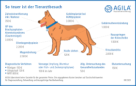 Zum einen ist der hund ein schlingfresser und zum anderen können allenfalls die zahnspitzen des hundes beim ein weiterer irrglaube ist, dass nassfutter zahnstein beim hund begünstigt. Tierarztkosten Hund Tierarztpreise Agila