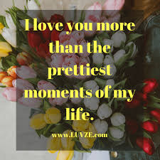 My love for you is beyond words. 300 I Love You More Than Quotes Sayings Messages