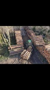 Eamon Flaherty Timber