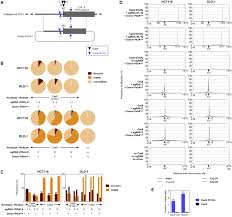 You'll only be able to turn on the tap once. Tandem Paired Nicking Promotes Precise Genome Editing With Scarce Interference By P53 Sciencedirect