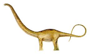 This jurassic world evolution 2 dinosaurs unlock guide will list all the dinosaurs available in the game and how you can unlock them. Recreating The Actual Tlw Mamenchisaurus R Jurassicworldevo