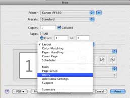 To display the model number of the fine cartridge, select ink number by pressing the right function button. Canon Knowledge Base Checking Ink Levels On Mac
