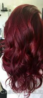 30 Best Mulberry Color Ideas Burgundy Hair Dyed Hair Red Hair Color Brown hair frizzy and straight comparison. mulberry color ideas burgundy hair