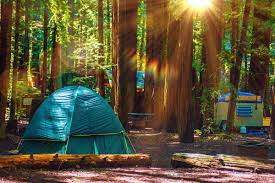Check spelling or type a new query. Redwood National Park Rv Camping