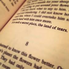 It Is Such A Secret Place The Land Of Tears It Is Such A Secret Place The Land Of Tears The Little Prince I Was Reading This Book Last Night And Came Across T Clever Quotes The Little Prince Words
