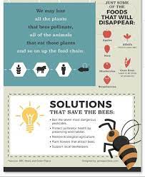 Pin On Save Our Earth