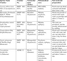 Image result for Maranthes floribunda