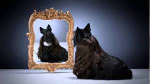 Pariati dumneavoastră dulce pic chumpy sunt. Why Is He Called Chumpy The New Daily