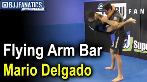 Paso playas #6 paseo playas, playas de tijuana, tijuana, 22504, mexico. Flying Arm Bar By Mario Delgado Youtube