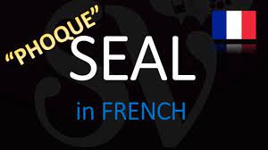 Symptom of umbilical hernia in baby seal is convex near the navel that resembles a pea. How Do You Say Seal In French Siri Tik Tok Meme Explained Youtube