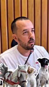 La causa del bienestar animal en Antioquia no solo tiene retos, también hay  certezas que no se pueden poner en duda. Del 2020 al 2023, la @gobantioquia  unió voluntades para esterilizar 131.000 ...