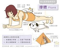 撐體 plank 什麼是核心肌群 腹肌 下背和腰臀的一群肌肉 為什麼要鍛鍊核心肌群 1 保護穩定脊椎脊椎就像帳篷中央的柱子 核心肌群就像固定中柱的繩子 繩子要有力並且互相平衡 中柱才不會歪斜 也就是脊椎才 healthy fitness easy