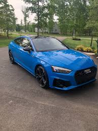 Image result for Navarra Blue 2020 S5