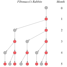 Check our guide to learn more! The Fibonacci Sequence And Linear Algebra Fabian Dablander