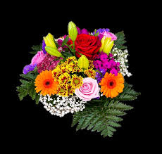 Quali Fiori Regalare Per Un Compleanno