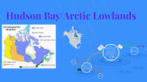 Lowlands is situated northeast of bay de verde. Hudson Bay Arctic Lowlands By Ricky Luo