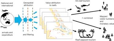 Deloitte's report valued the reef at us$42.5 billion, and a worth of us$4.9 billion a year to the australian economy. Mapping The Global Value And Distribution Of Coral Reef Tourism Sciencedirect