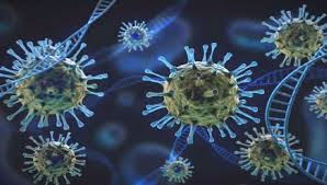 भारत में भी पहुंचा चीन का खतरनाक वायरस, बेंगलुरु में मिला एचएमपीवी का पहला  केस - 4PM News