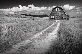 A little texture on the sky thanks to skeletalmess. Old Barn In Black And White Photograph By Randall Nyhof