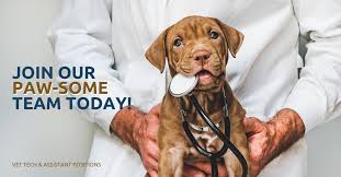 The site owner hides the web page description. Veterinarian In Frisco Texas